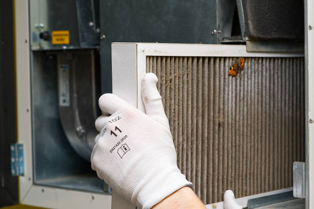 Best Ductwork Cleaning Services  in Quantico Base, VA